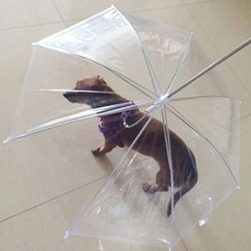 Dog Walking Waterproof Clear Cover Built-In Leash Rain Sleet Snow Pet Umbrella Pet Products