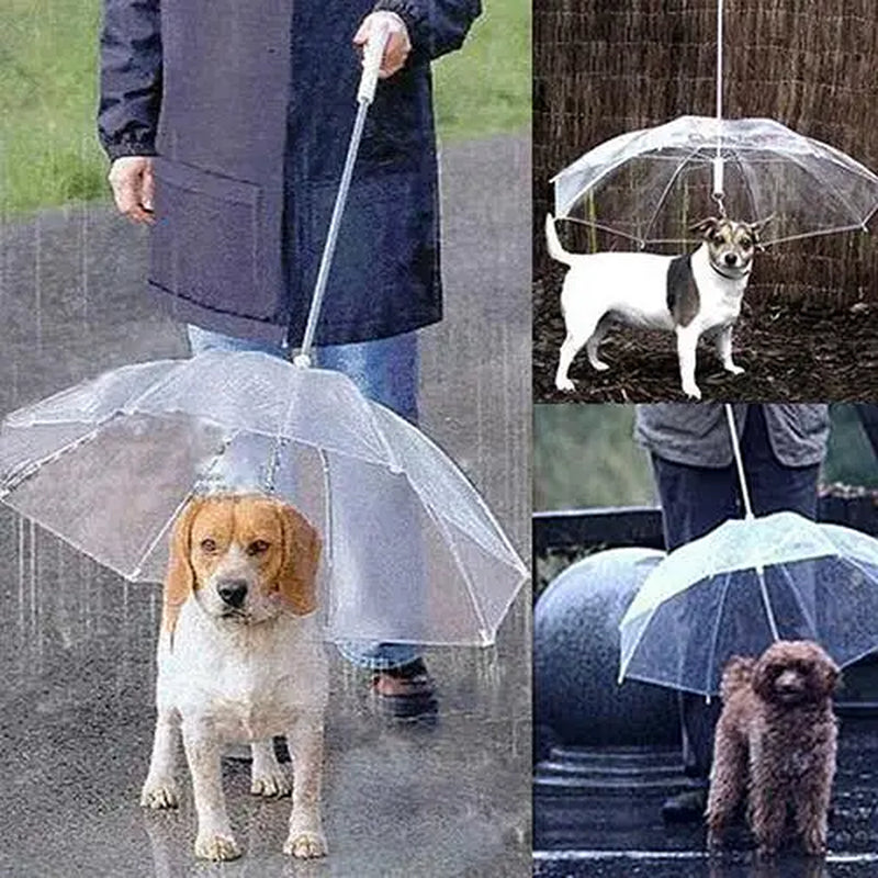 Dog Walking Waterproof Clear Cover Built-In Leash Rain Sleet Snow Pet Umbrella Pet Products