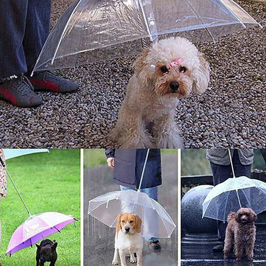 Dog Walking Waterproof Clear Cover Built-In Leash Rain Sleet Snow Pet Umbrella Pet Products